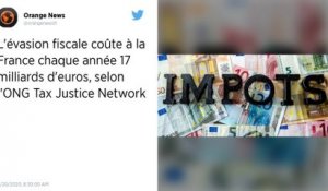 L'évasion fiscale coûte à la France chaque année 17 milliards d'euros, selon l'ONG Tax Justice Network