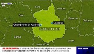 Un élevage de visons contaminé au Covid-19 en France, les 1000 bêtes abattues
