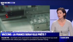 Covid-19: selon la chercheuse Anne Sénéquier, "les deux premiers vaccins n'utilisent pas d'adjuvants"