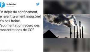 Concentration record de CO2 en dépit du confinement lié au Covid-19