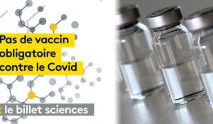 Le vaccin contre le Covid ne sera pas obligatoire : Emmanuel Macron parie sur l'incitation, comme pour la grippe