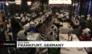 A Francfort, des pandas en peluche remplacent les clients d'un restaurant
