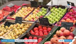 Alimentation : pourquoi les fruits et légumes bio sont-ils si coûteux ?