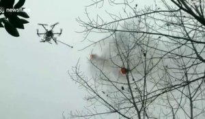 En chine ils détruisent les nids de frelons avec des drones équipés de lance-flamme