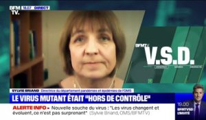 Sylvie Briand (OMS): "Pour l'instant, on n'a pas vu de différence sur la virulence" de la nouvelle souche du virus