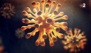 Coronavirus : ce qu'il faut savoir sur la mutation découverte au Royaume-Uni