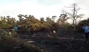 Feu de brousse : une partie de la forêt classée de Mbao bouffée par des flammes