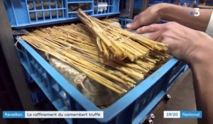 Fêtes : le camembert fourré aux truffes d’un meilleur ouvrier de France
