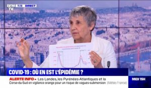 Covid-19: l'épidémiologiste Catherine Hill évoque "un plateau" en France