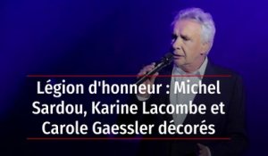 Légion d'honneur : Michel Sardou, Karine Lacombe et Carole Gaessler décorés