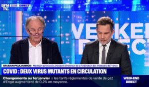 Covid-19 : deux virus mutants en circulation - 01/01