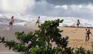 Le surfeur Mikey Wright s'est jeté à la mer pour sauver un nageur en difficulté à Hawaii