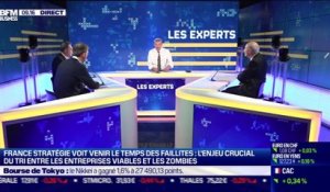 Les Experts : France Stratégie voit venir le temps des faillites, l'enjeu crucial du tri entre les entreprises viables et les zombies - 07/01