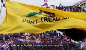 États-Unis : qui sont les militants pro-Trump qui ont envahi le Capitole ?