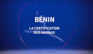 TLS le mag, la certification des ananas au Bénin, Telesud, le 12/01/21