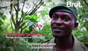 En République démocratique du Congo, 6 éco-gardes ont été tués par un groupe armé