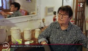 Côte-d'Or : la tradition du bonbon à l’anis de Flavigny