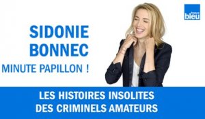 Voleur amateurs : les histoires insolites des apprentis criminels