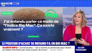 Comment fonctionne l'indice "Big Mac" ? BFMTV répond à vos questions