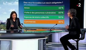 Covid-19 : la majorité des Français est favorable au vaccin selon un sondage