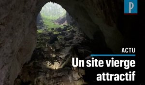 Vietnam : Son Doong, la plus grande grotte du monde menacée