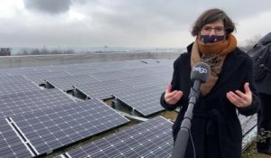Décathlon rachète l'énergie solaire de ses clients en échange d'un chèque cadeau (Tinne Van der Straeten)
