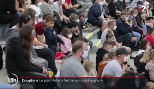 Parc Astérix : les visiteurs doivent dire adieu aux dauphins et aux otaries