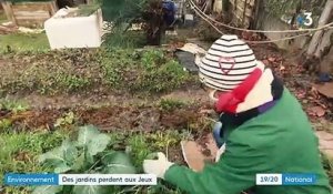 JO de Paris 2024 : à Aubervilliers, des familles se battent pour préserver leur jardin ouvrier