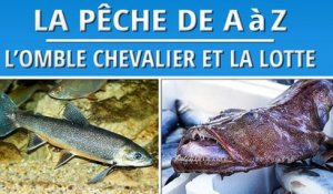 La Pêche de l'Omble Chevalier à la traîne et de la Lotte aux vers canadiens | DVD Technique Complet