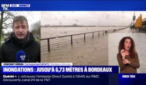 Crue de la Garonne: un pic à 6,73 mètres atteint à Bordeaux