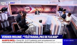 Geoffroy Lejeune, Agnès Verdier-Molinié, Louis Boyard et Rokhaya Diallo: qui va vous convaincre ? - 03/02