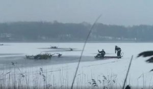 En Pologne, des braconniers ont attiré des cerfs sur un lac gelé, qui a cédé et a causé la mort de 19 animaux