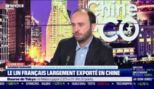 Chine Éco : Le lin français largement exporté en Chine par Erwan Morice - 08/02
