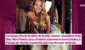 Alicia Aylies : Miss France 2017 se lance dans un projet étonnant