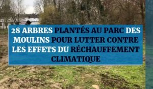 28 arbres plantés au parc des Moulins pour lutter contre les effets du réchauffement climatique