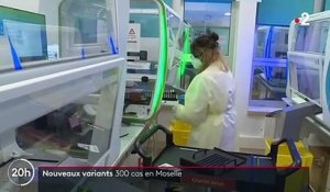 Covid-19 : plus de 300 cas positifs aux nouveaux variants en Moselle