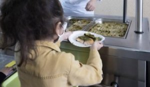 Lyon : un menu unique sans viande imposé par les écologistes dans les cantines scolaires