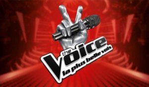 "TheVivi" exclu de The Voice France à cause d'anciens tweets