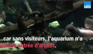 Le Grand Aquarium de Saint-Malo est fermé depuis quatre mois