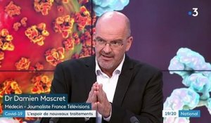 Covid-19 : la France commande des anticorps monoclonaux pour lutter contre le virus