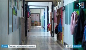 Covid-19 : des tests salivaires dans 17 écoles de l'académie de Grenoble