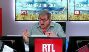 Agriculture : "Le numérique va nous apporter des services considérables", dit un éleveur