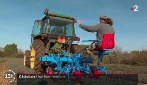 Charente-Maritime : agriculteurs céréaliers, une affaire de famille