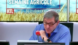 Agriculture : l'Europe "neutre" en carbone d'ici 2050, espère le président de Champs d'avenir