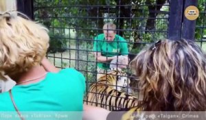 Ce dresseur russe présente ses 2 petits à une maman tigre