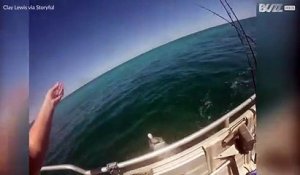 Ce dauphin salue un bateau de pêche en Australie