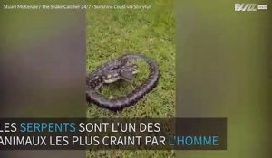 Une terrifiante attaque de python