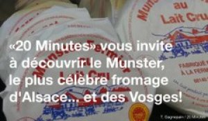 Pourquoi le Munster est-il si célèbre en Alsace et dans les Vogses ?