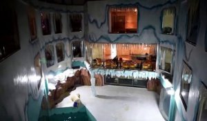 Un hôtel chinois qui a ouvert ses portes déclenche la colère des défenseurs des animaux car il exhibe des ours polaires pour le seul plaisir de ses clients