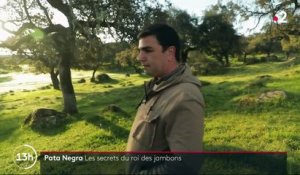 Espagne : les secrets de fabrication du jambon Pata Negra